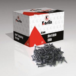 KARLİS SİVRİ UÇLU VİDA (25 mm)